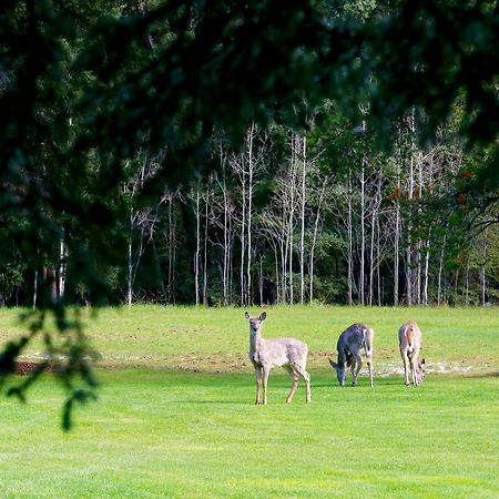 Sleepy Creek Country Manor Bed and Breakfast Bragg Creek Esterno foto